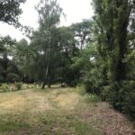 Wunderwelt Friedhöfe an der Liesenstraße – Bild 28