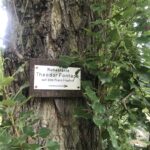Wunderwelt Friedhöfe an der Liesenstraße – Bild 29