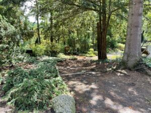 Wunderwelt Waldfriedhof Heerstraße – Bild 9