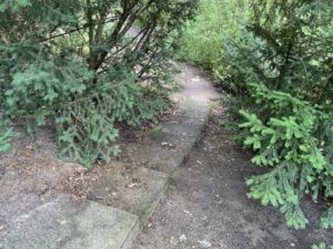 Wunderwelt Waldfriedhof Heerstraße – Bild 10