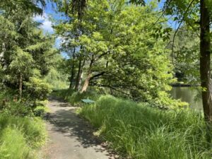 Wunderwelt Waldfriedhof Heerstraße – Bild 22