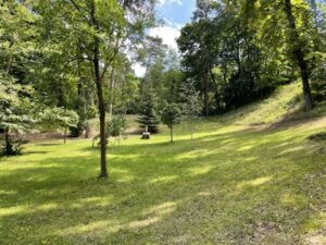 Wunderwelt Waldfriedhof Heerstraße – Bild 26