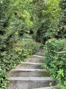 Wunderwelt Waldfriedhof Heerstraße – Bild 30