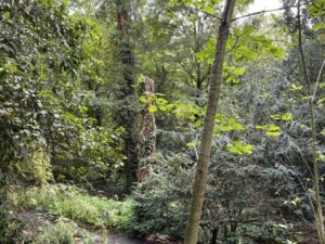 Wunderwelt Waldfriedhof Heerstraße – Bild 31
