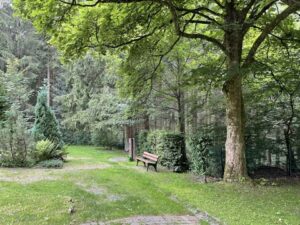 Wunderwelt Friedhof Hahnenklee-Bockwiese im Oberharz – Bild 13