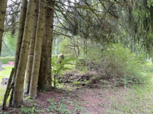 Wunderwelt Friedhof Hahnenklee-Bockwiese im Oberharz – Bild 20