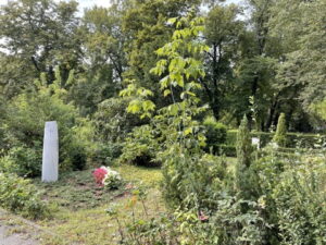 Wunderwelt Friedhof Buschkrugallee – Bild 10