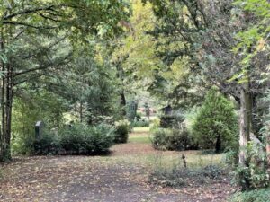 Wunderwelt Friedhof Buschkrugallee – Bild 17