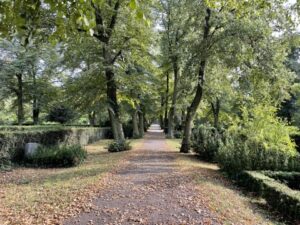 Wunderwelt Friedhof Buschkrugallee – Bild 33