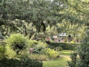 Wunderwelt Friedhof Buschkrugallee – Bild 43