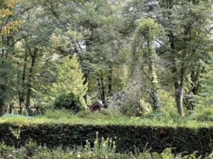 Wunderwelt Friedhof Buschkrugallee – Bild 44
