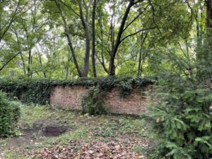 Wunderwelt St. Petri-Kirchhof – Bild 10