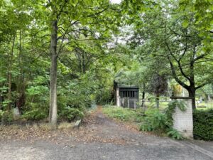 Wunderwelt St. Petri-Kirchhof – Bild 18