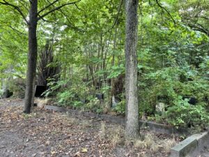 Wunderwelt St. Petri-Kirchhof – Bild 19
