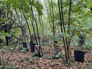 Wunderwelt St. Petri-Kirchhof – Bild 21