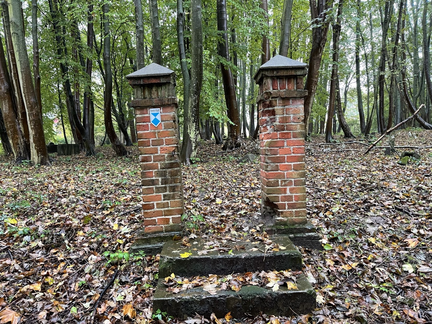 Wunderwelt Kleiner Deutscher  Friedhof Bagicz (Bodenhagen)